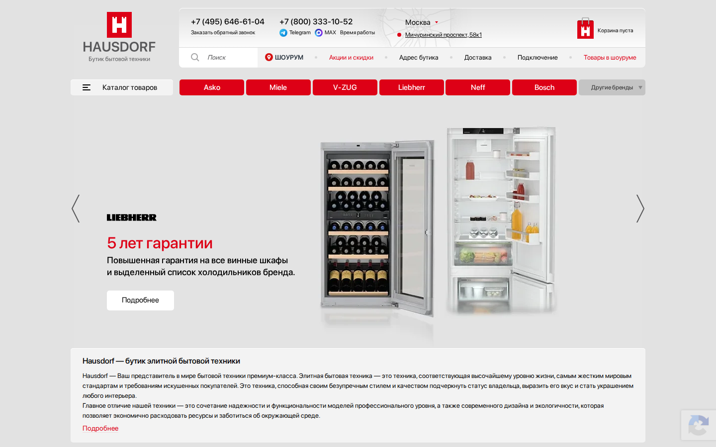 Снимок главной страницы hausdorf.ru — фон демонстрации